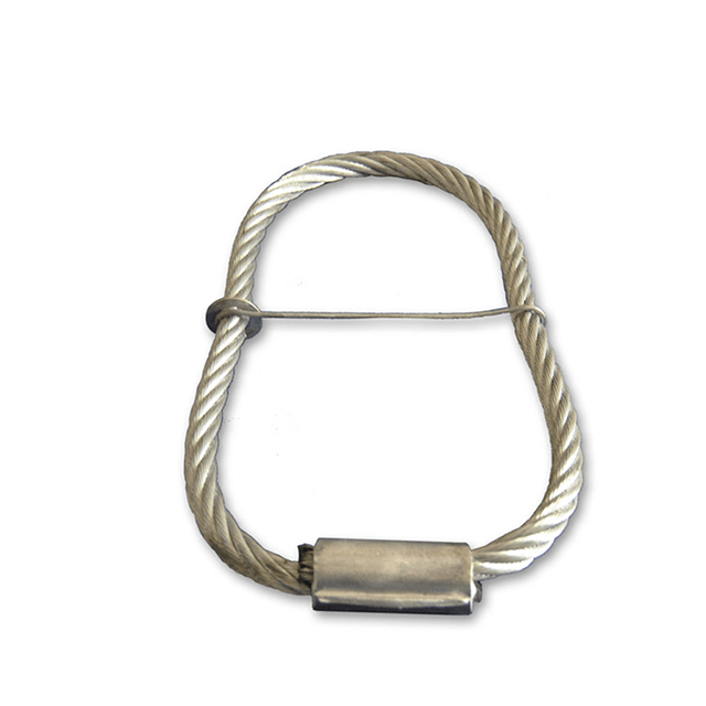 Steel Wire Rope Sling with Hook - GAOSHENG Wire Sling